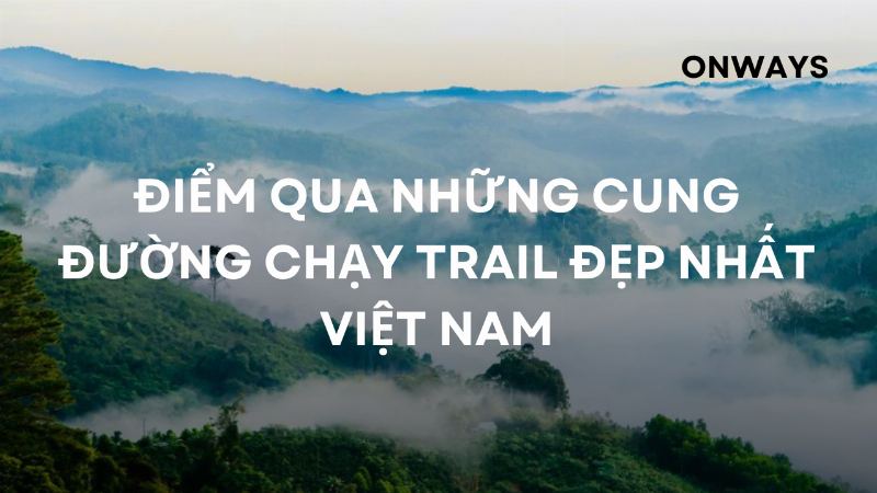 Mot van dong vien chay ultra trail dang vuot qua mot con suoi nho tren duong dua giua canh rung cay nhiet doi